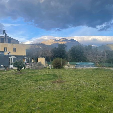 Le Coin Tranquille Hotel Morosaglia Екстериор снимка