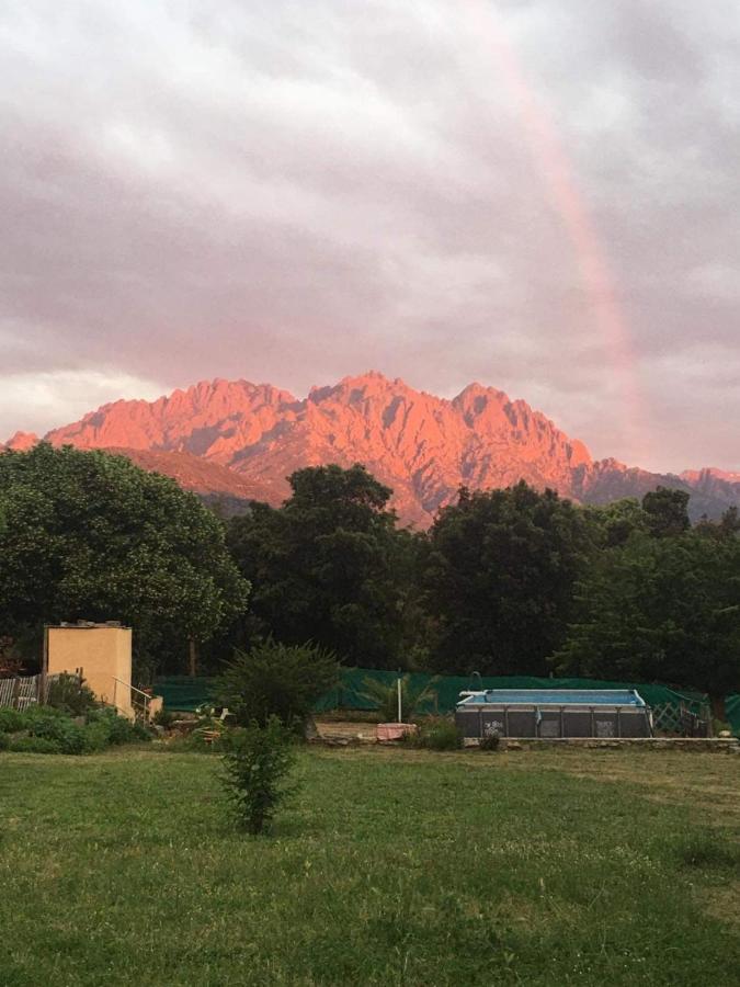 Le Coin Tranquille Hotel Morosaglia Екстериор снимка